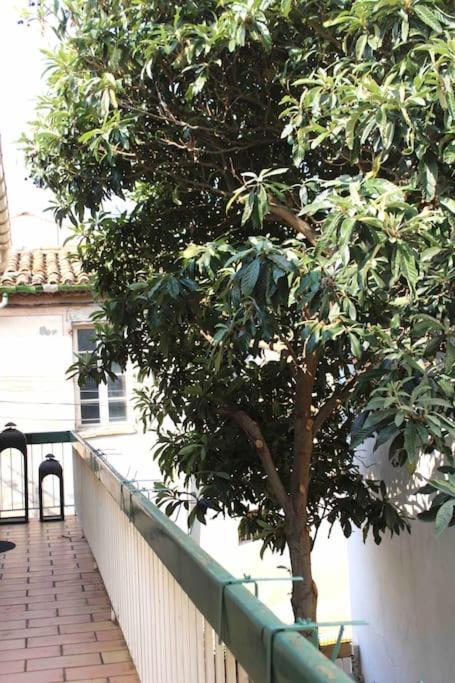 Spacieux Appartement 4 Couchages, Terrasse Privee Narbonne Luaran gambar